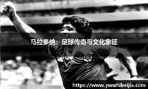 J9集团官网