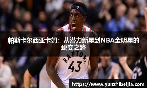 J9集团国际平台